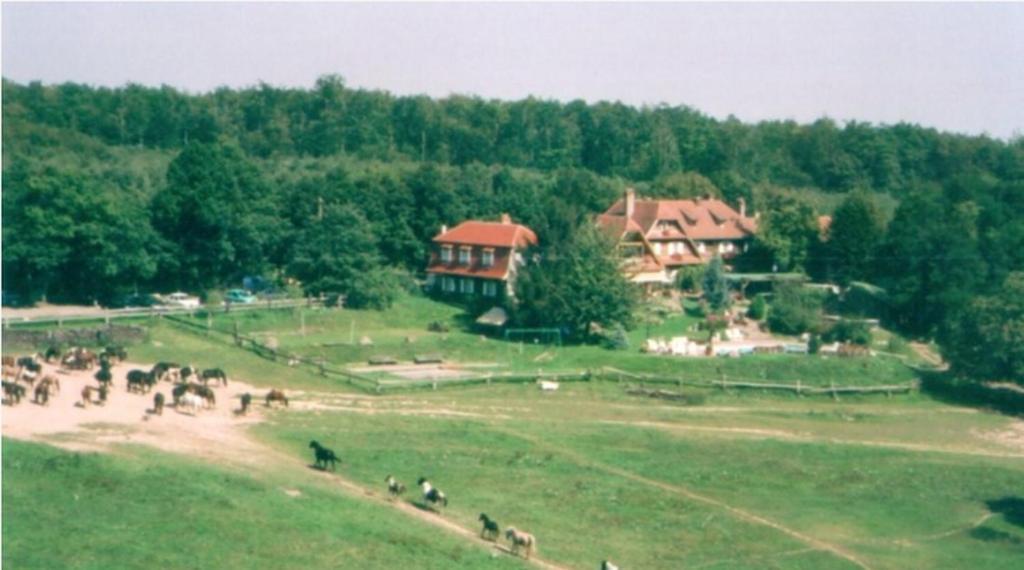 Bed and Breakfast Le Neufeld Oberhaslach Экстерьер фото