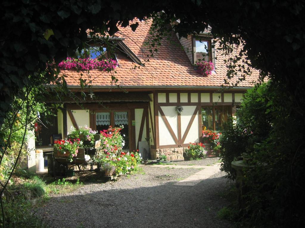 Bed and Breakfast Le Neufeld Oberhaslach Экстерьер фото